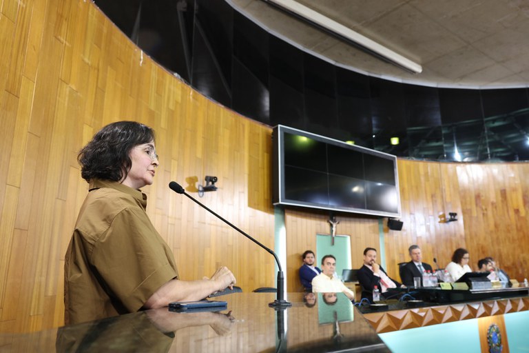 foto Aline Rezende 0071.JPG