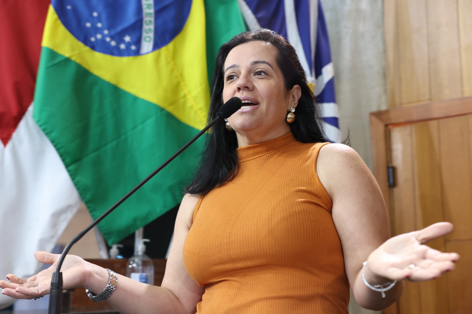 foto Aline Rezende 0050.JPG