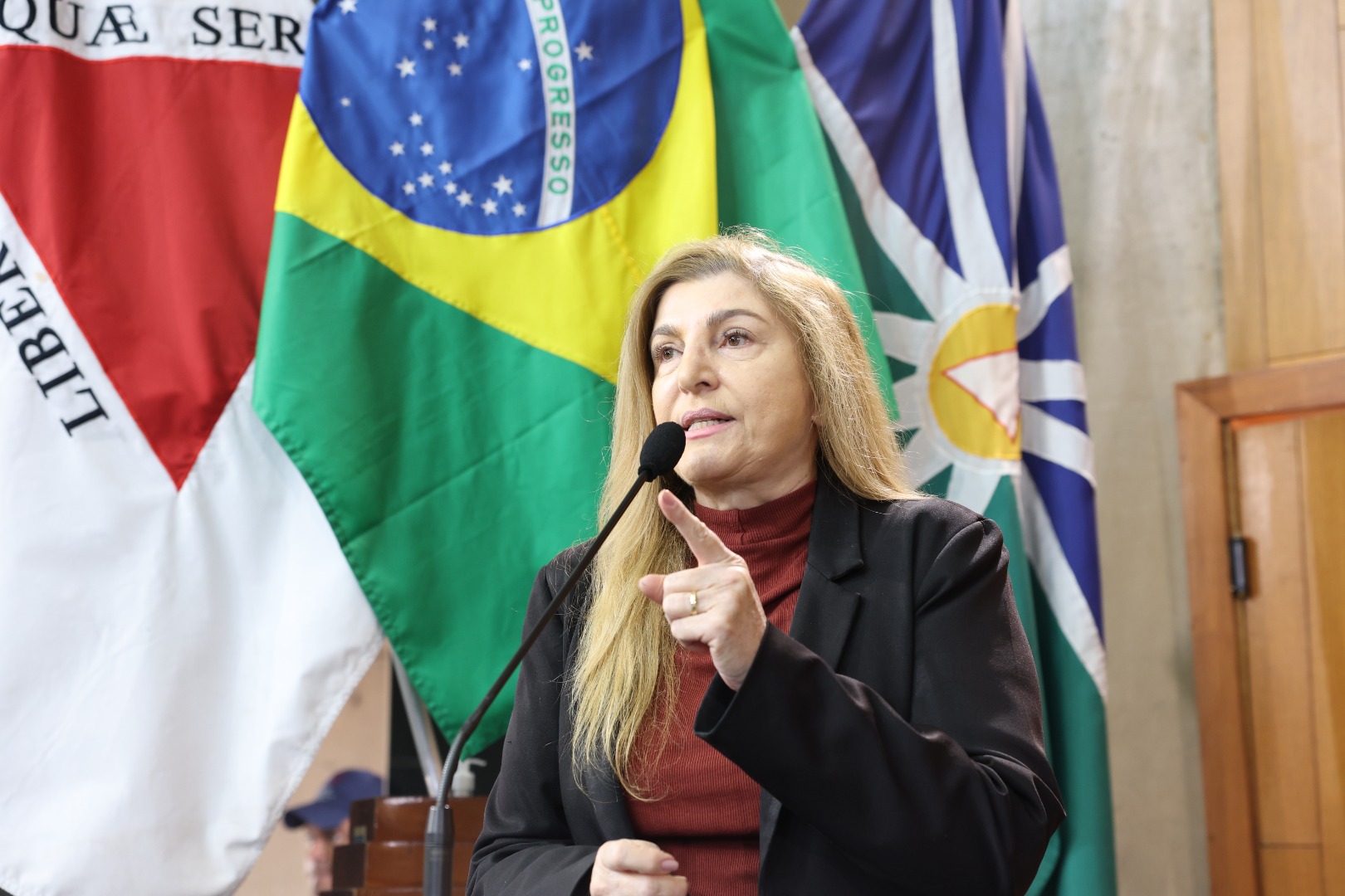 foto Aline Rezende 0058.JPG