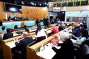  foto Aline Rezende 0001.JPG 