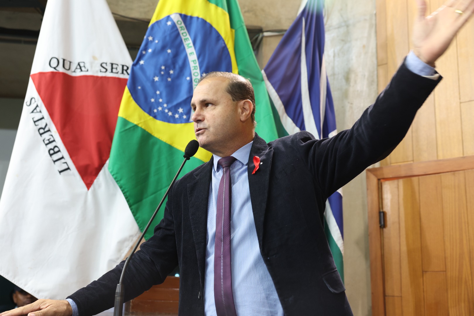 foto Aline Rezende 0020.JPG