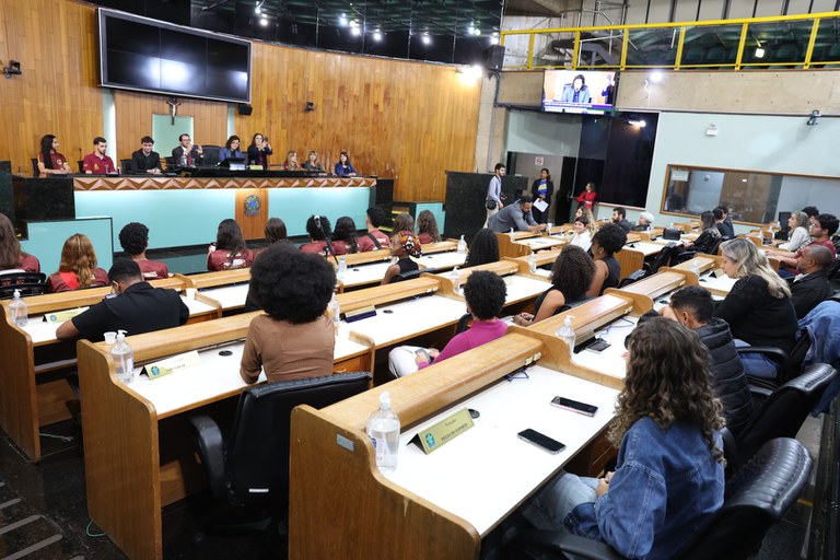 foto Aline Rezende 0015.JPG