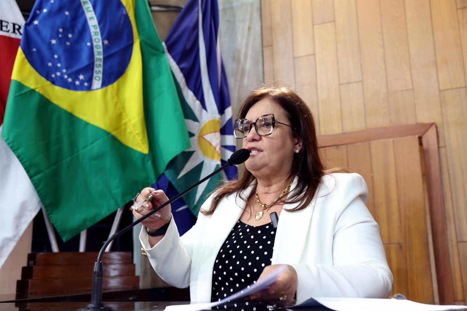 foto Aline Rezende 0014.JPG