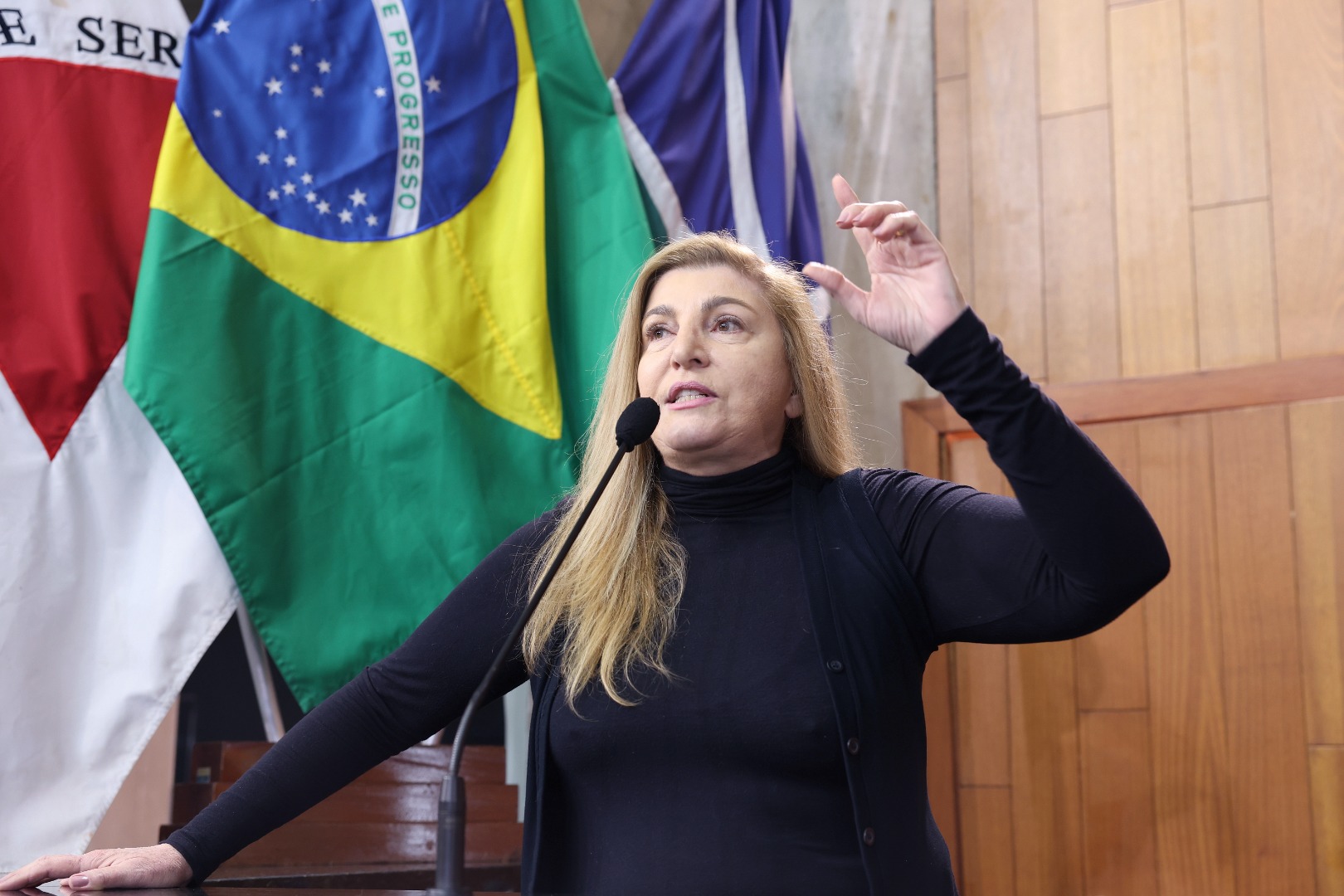 foto Aline Rezende 0057.JPG