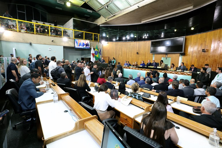 foto Aline Rezende 0022.JPG