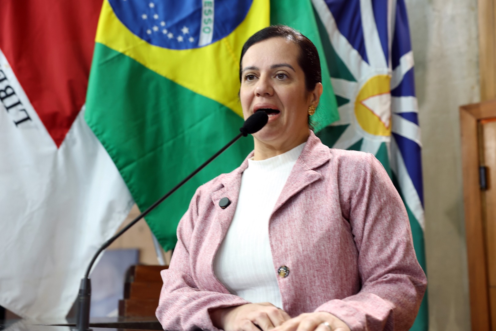 foto Aline Rezende 0049.JPG