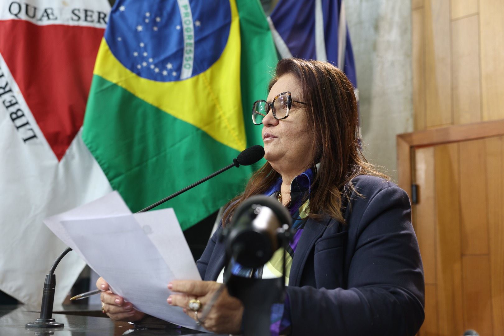 foto Aline Rezende 0025.JPG