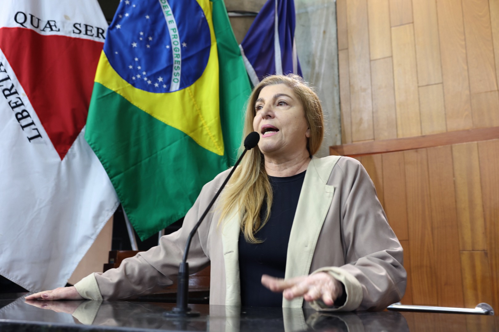 foto Aline Rezende 0058.JPG