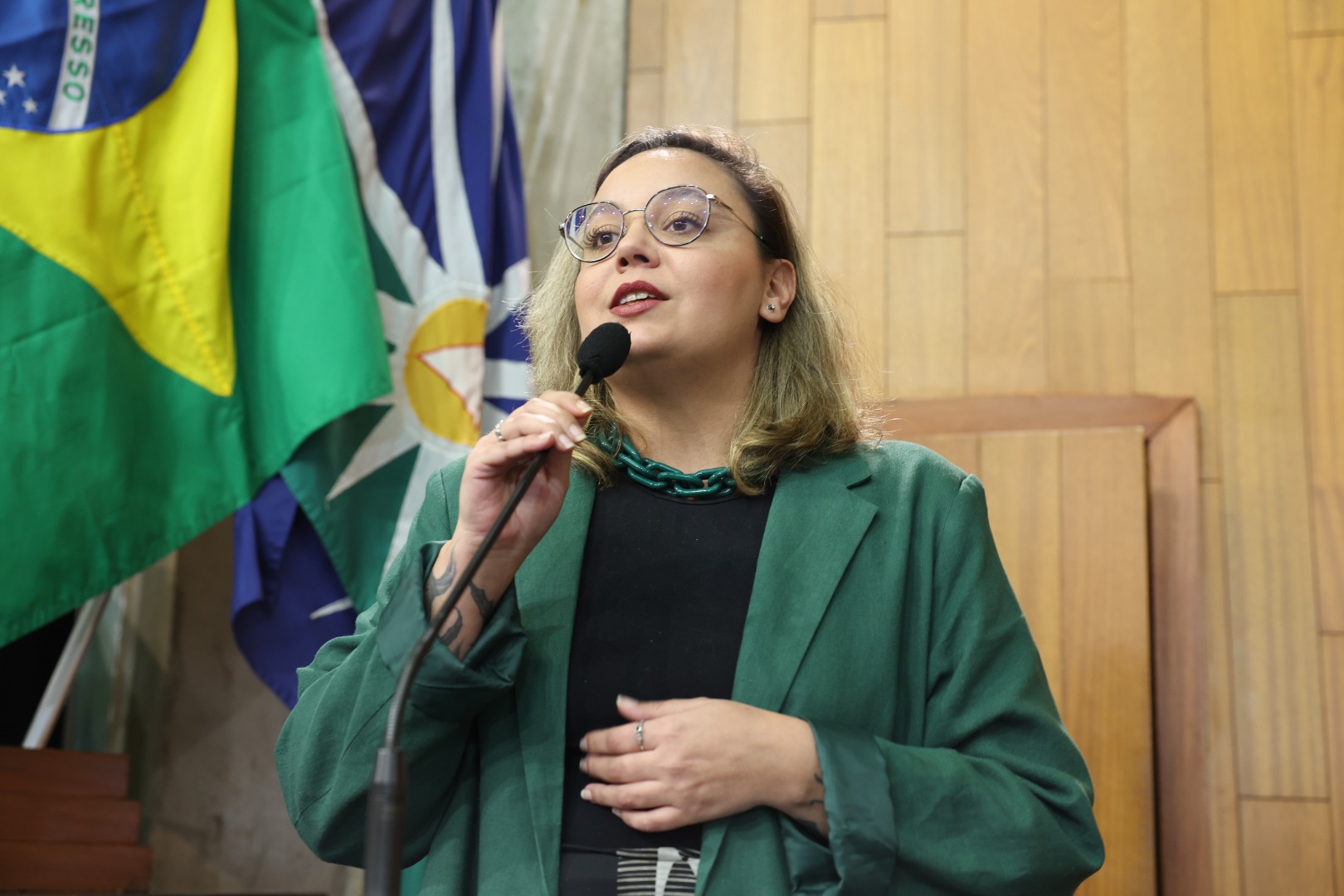 foto Aline Rezende 0027.JPG