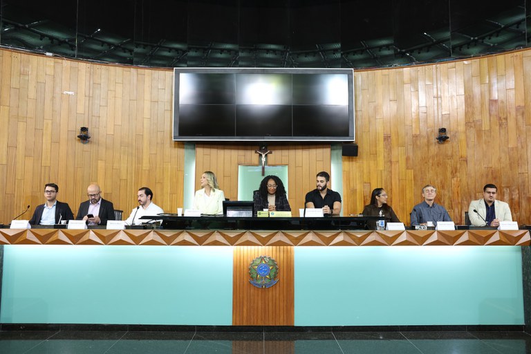foto Aline Rezende 0008.JPG