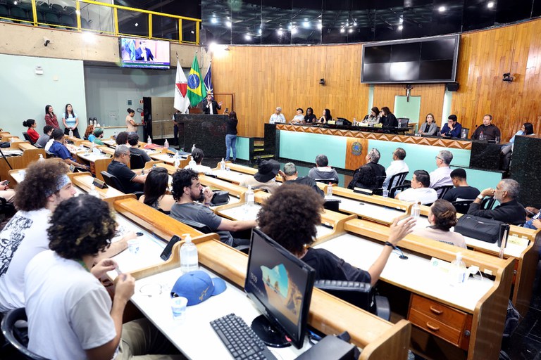 foto Aline Rezende 0001.JPG