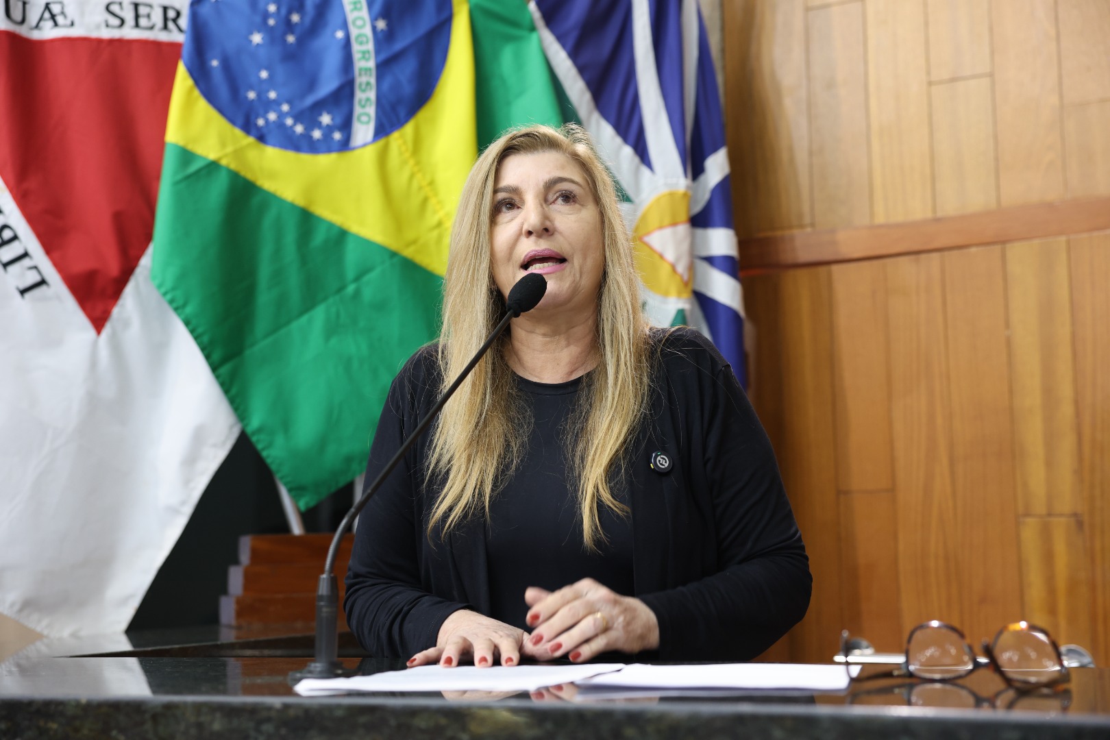 foto Aline Rezende 0053.JPG
