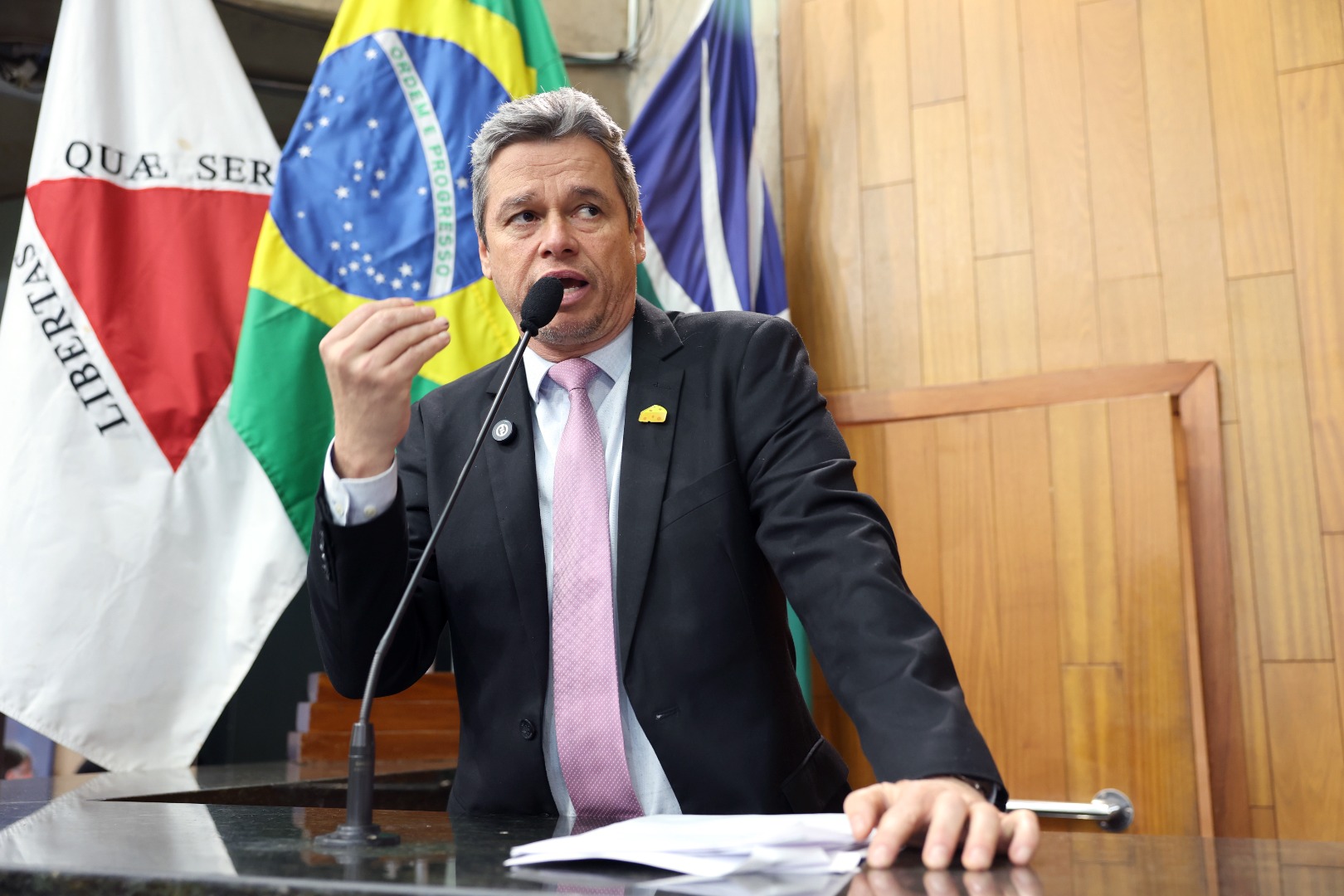 foto Aline Rezende 0120.JPG