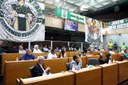  foto Aline Rezende 0033.JPG 