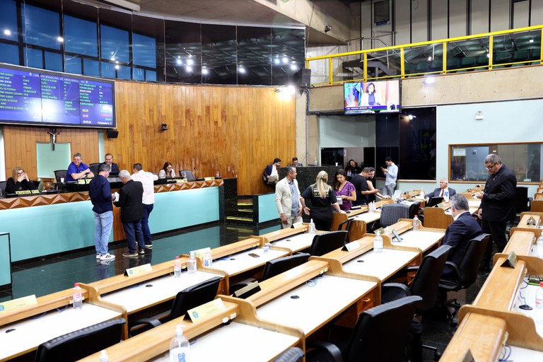 foto Aline Rezende 0001.JPG