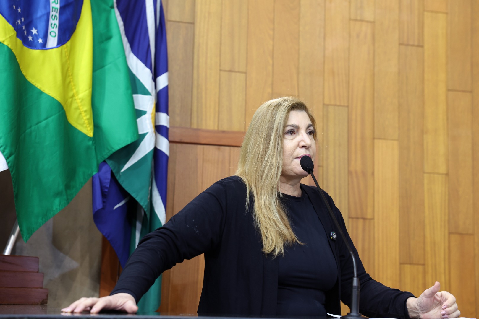foto Aline Rezende 0062.JPG