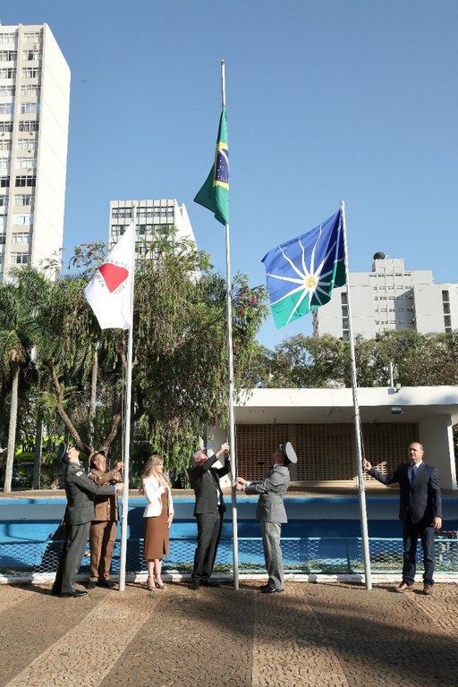 foto Aline Rezende 0002.JPG