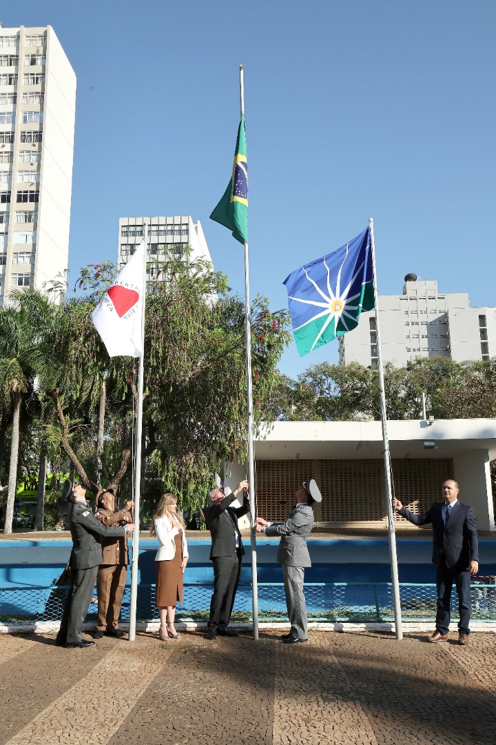 foto Aline Rezende 0002.JPG