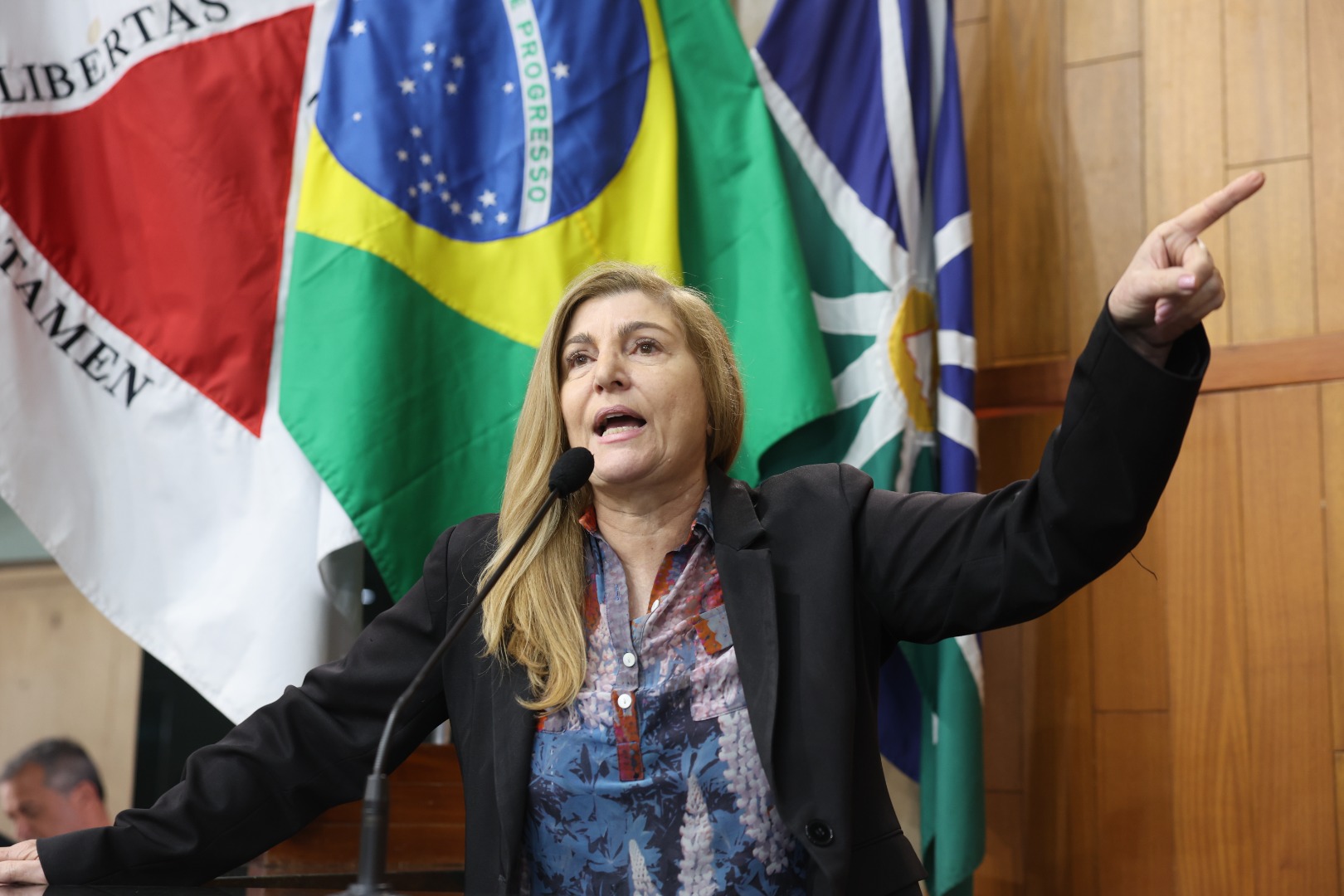 foto Aline Rezende 0093.JPG