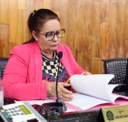  foto Aline Rezende 0079.JPG 