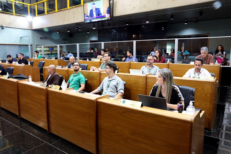 foto Aline Rezende 0007.JPG