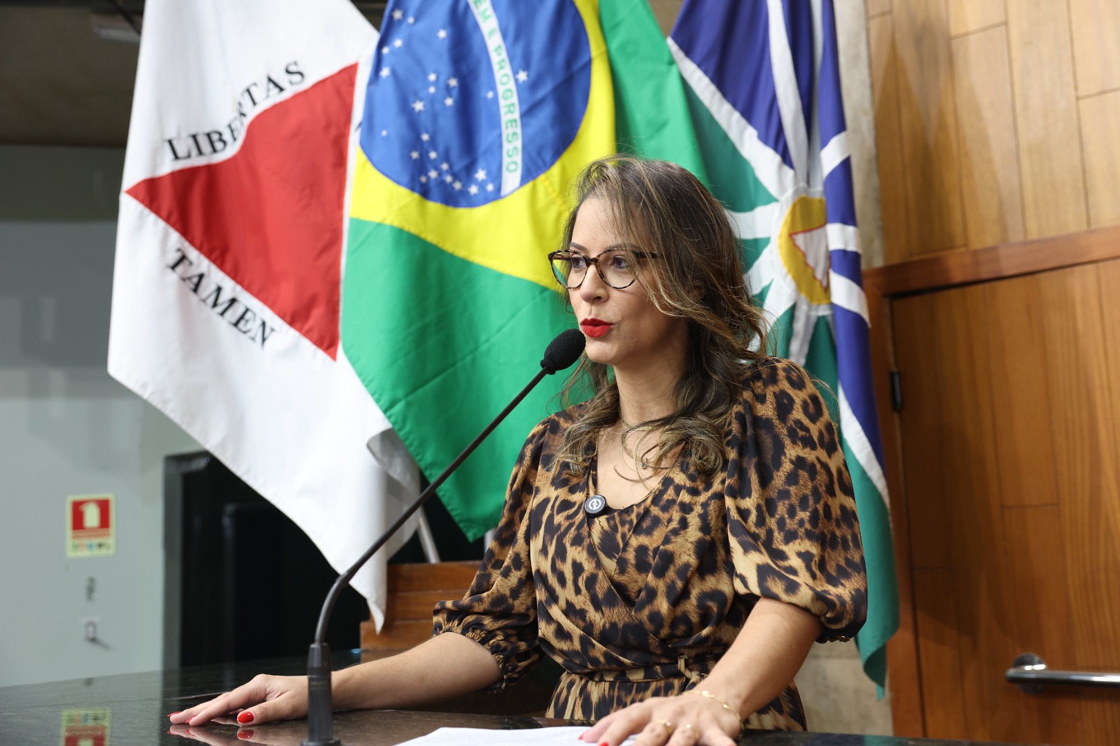 foto Aline Rezende 0017.JPG