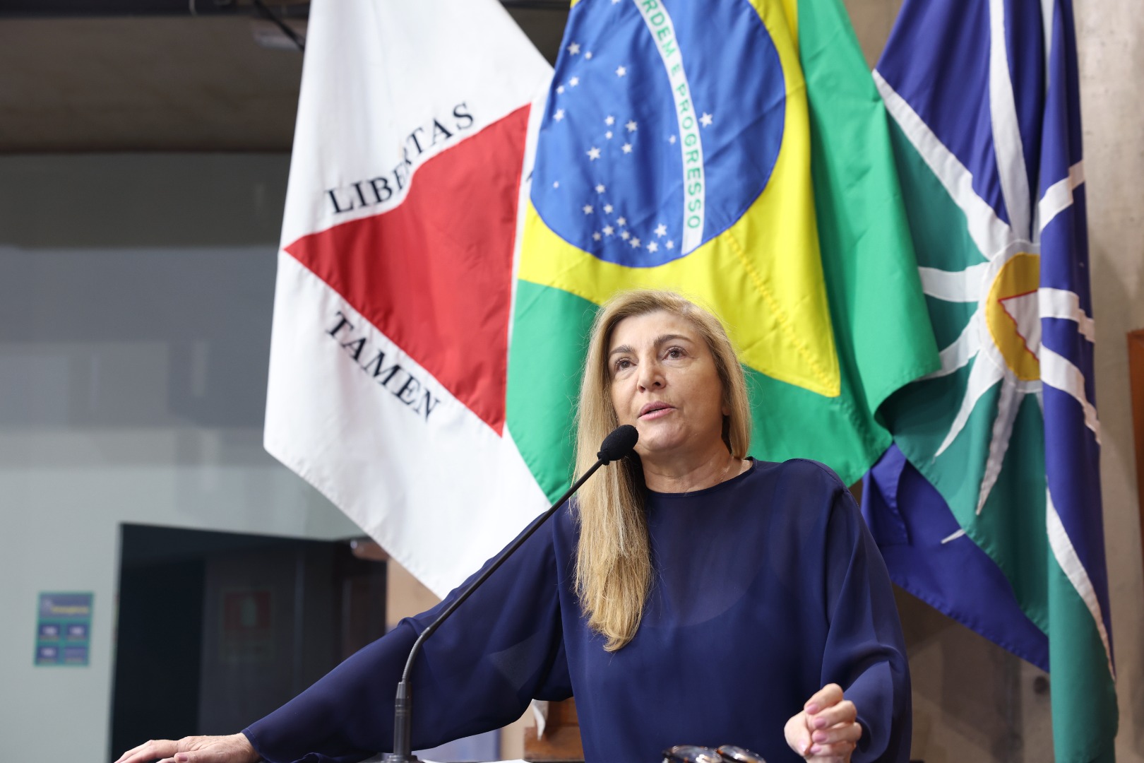 foto Aline Rezende 0011.JPG