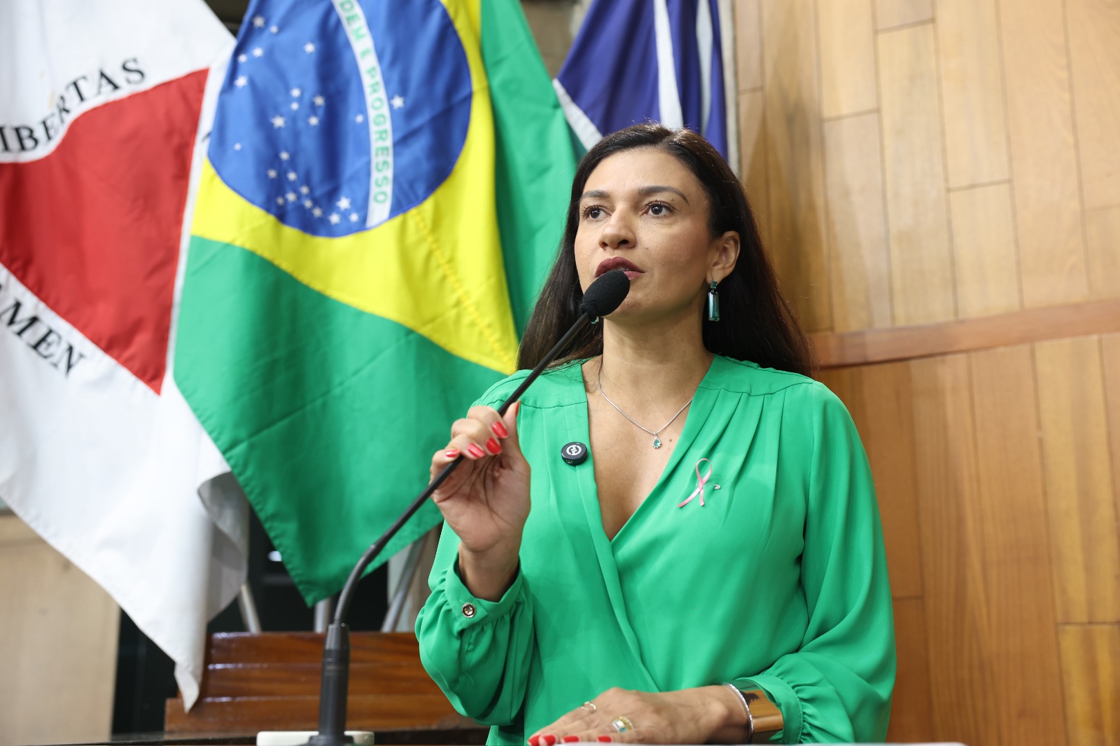 foto Aline Rezende 0053.JPG