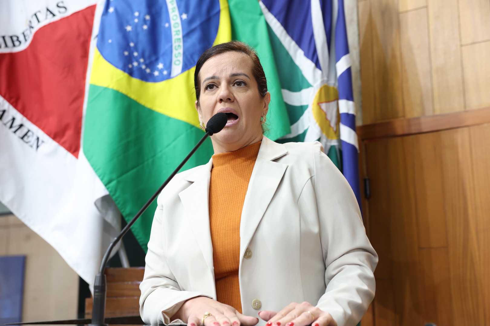 foto Aline Rezende 0019.JPG