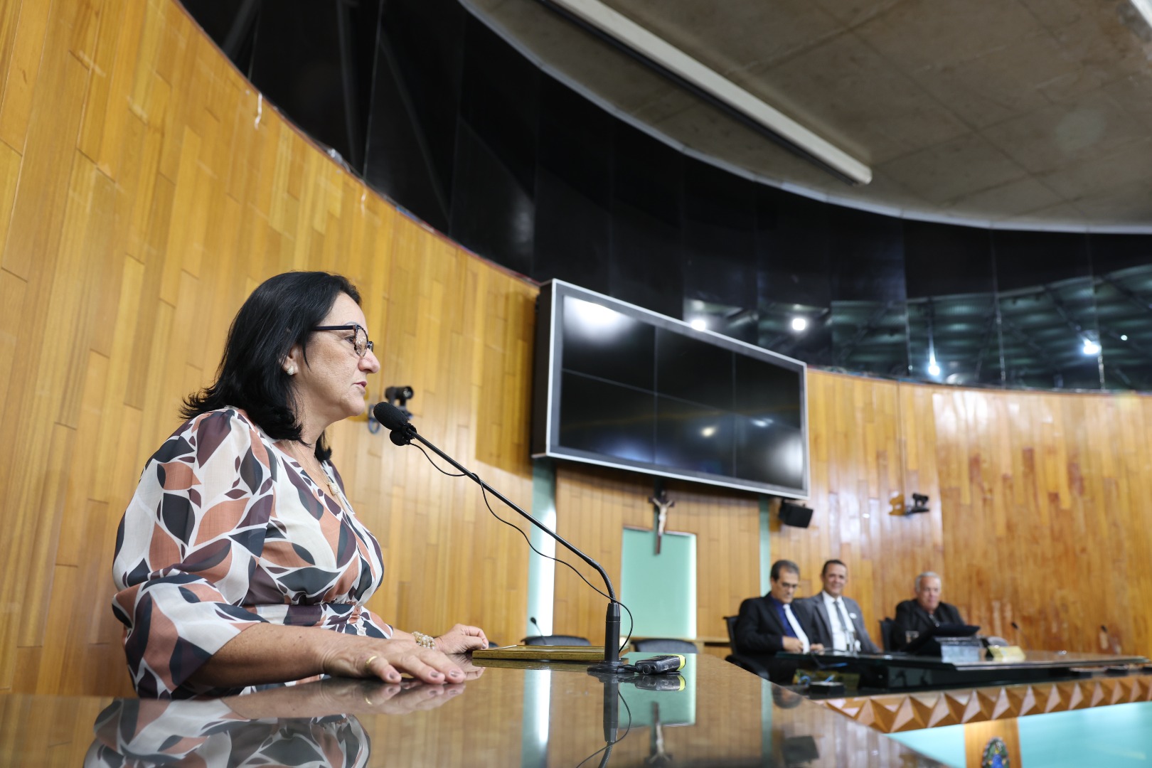 foto Aline Rezende 0028.JPG