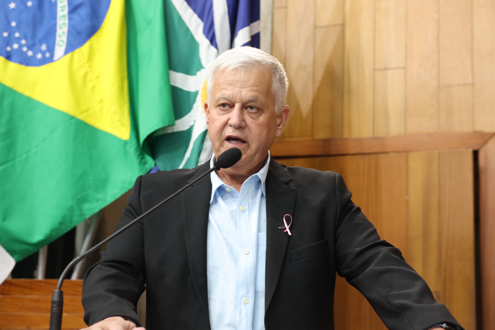 foto Aline Rezende 0018.JPG
