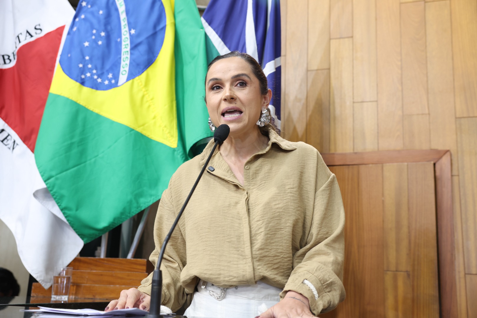 foto Aline Rezende 0023.JPG