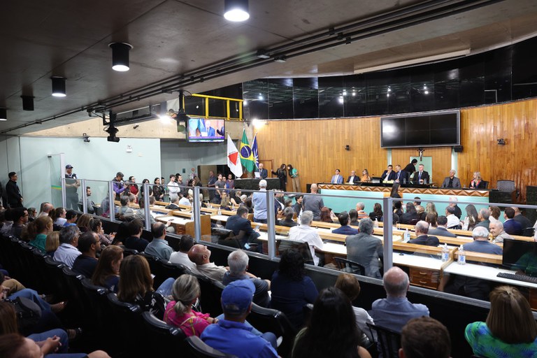 foto Aline Rezende 0009.JPG