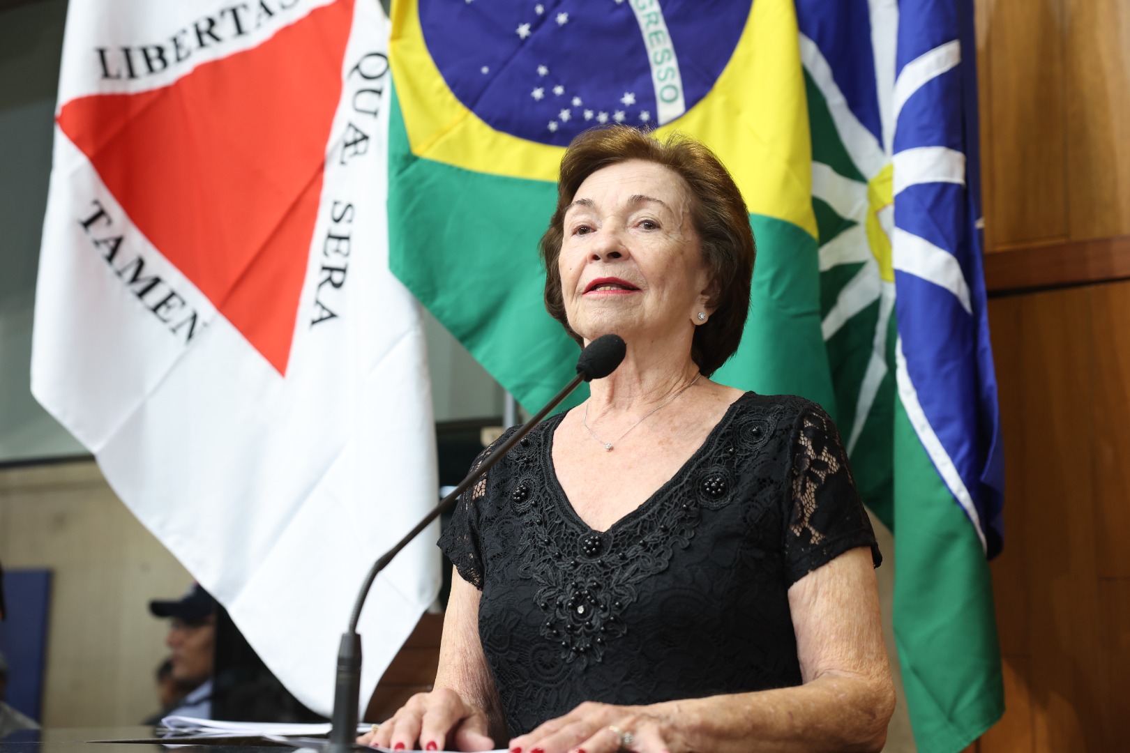 foto Aline Rezende 0017.JPG