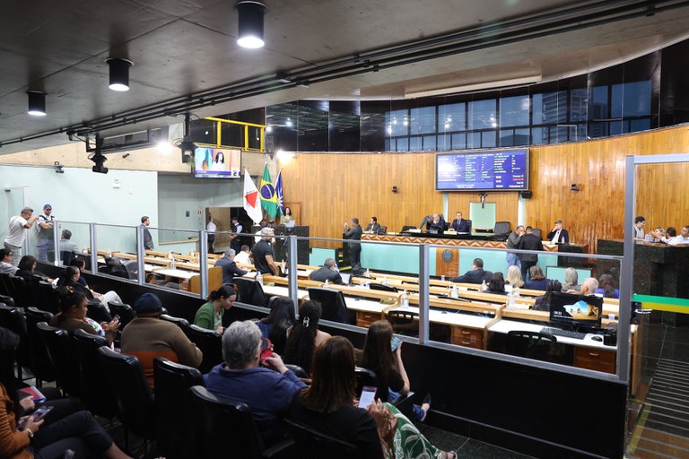 foto Aline Rezende 0001.JPG