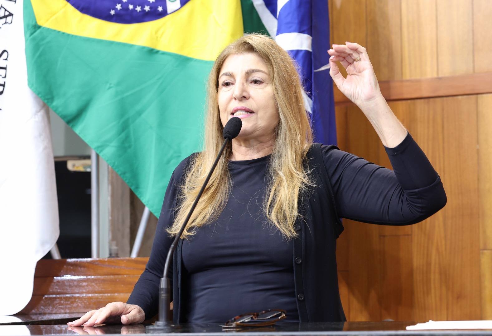 foto Aline Rezende 0044.JPG