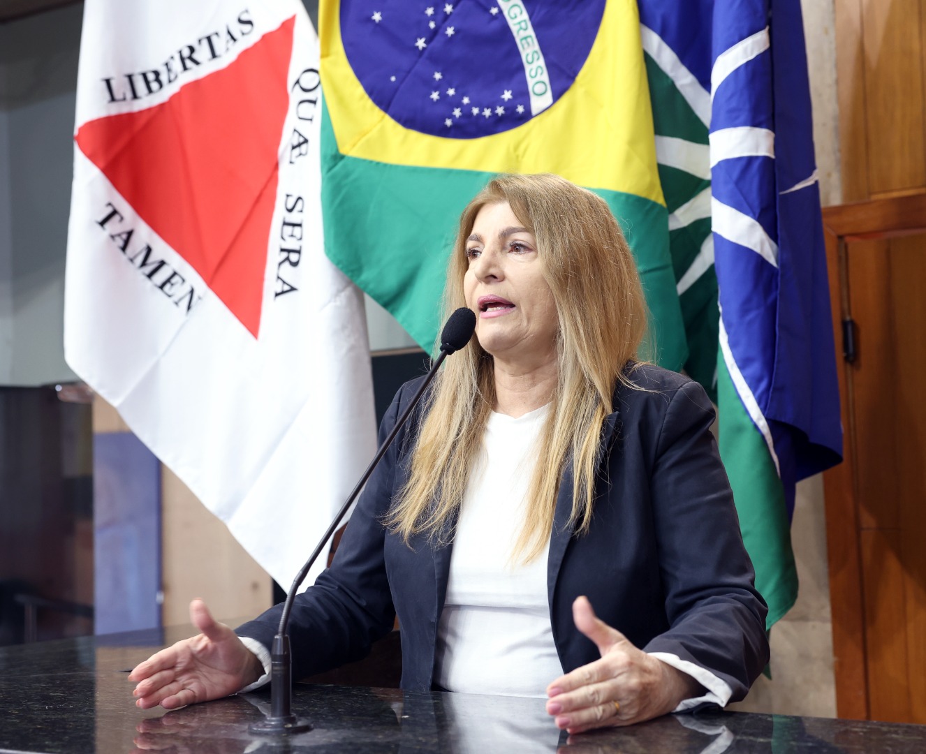 foto Aline Rezende 0013.JPG