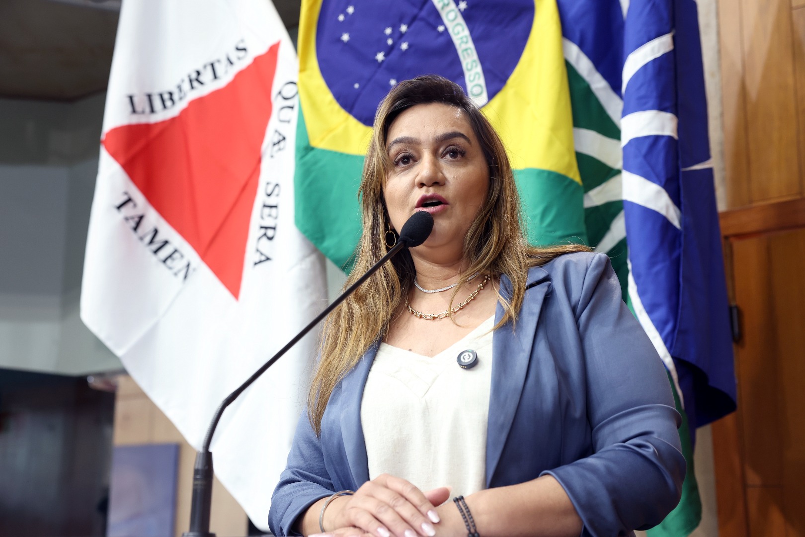 foto Aline Rezende 0023.JPG