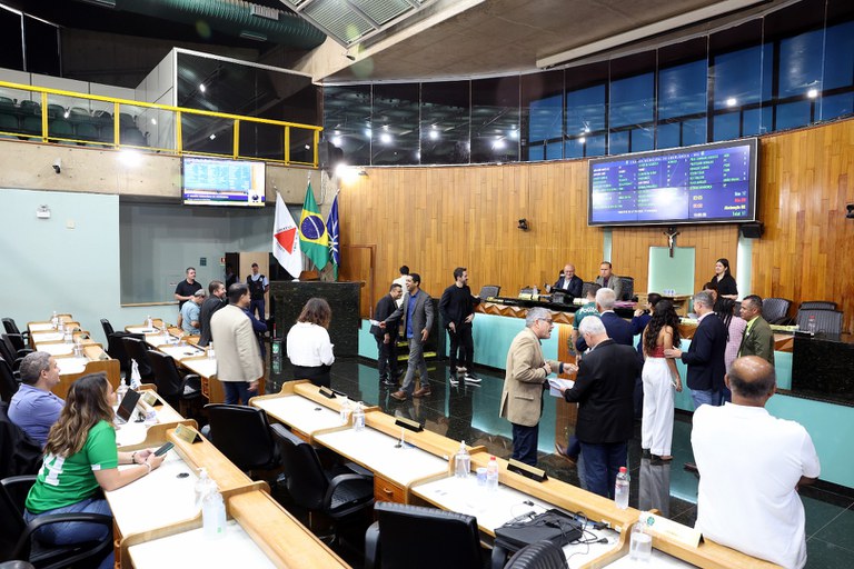 foto Aline Rezende 0001.JPG