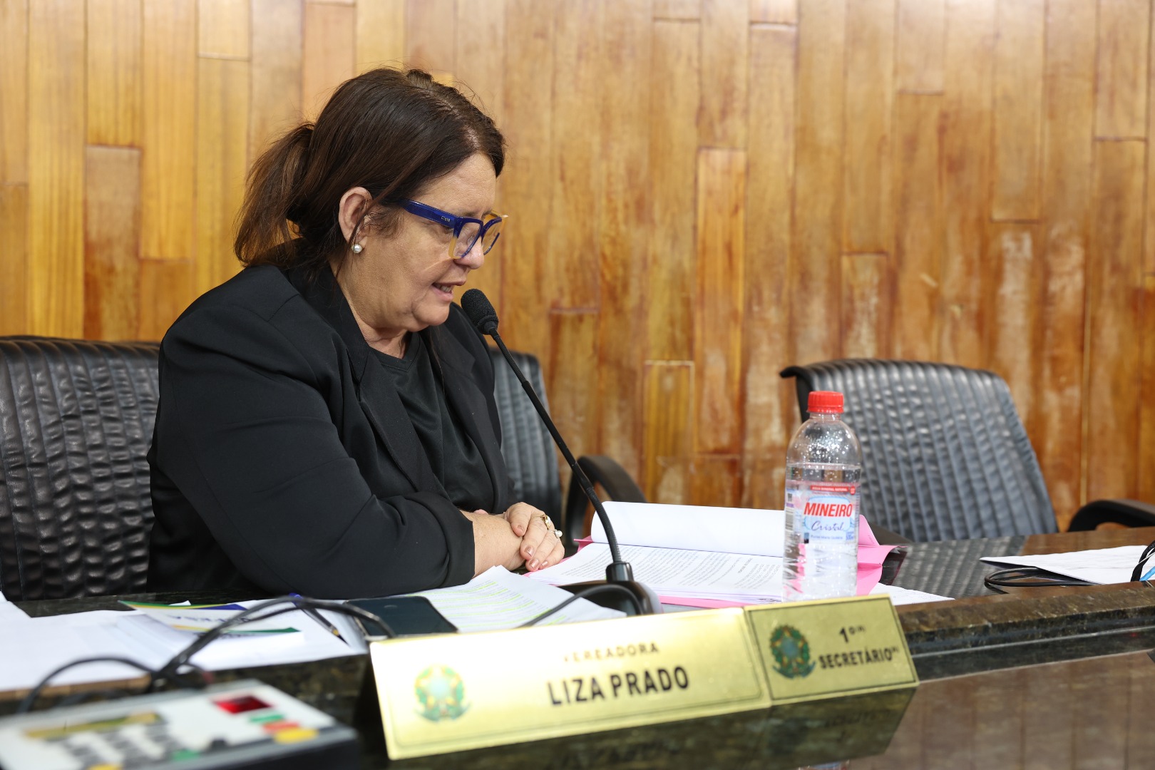 foto Aline Rezende 0040.JPG