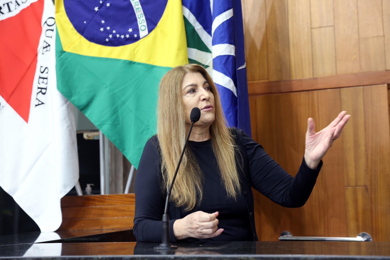 foto Aline Rezende 0031.JPG