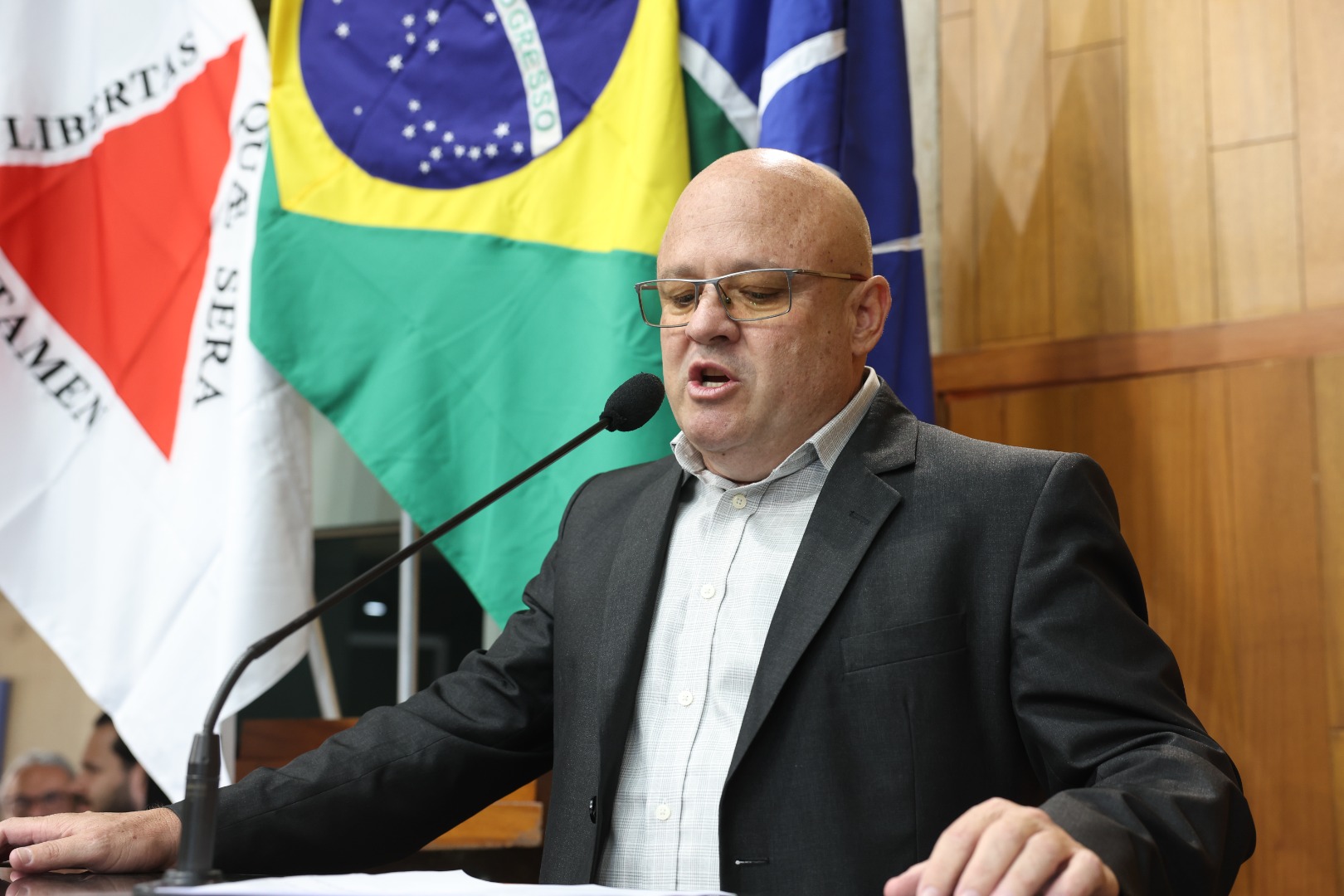 foto Aline Rezende 0070.JPG