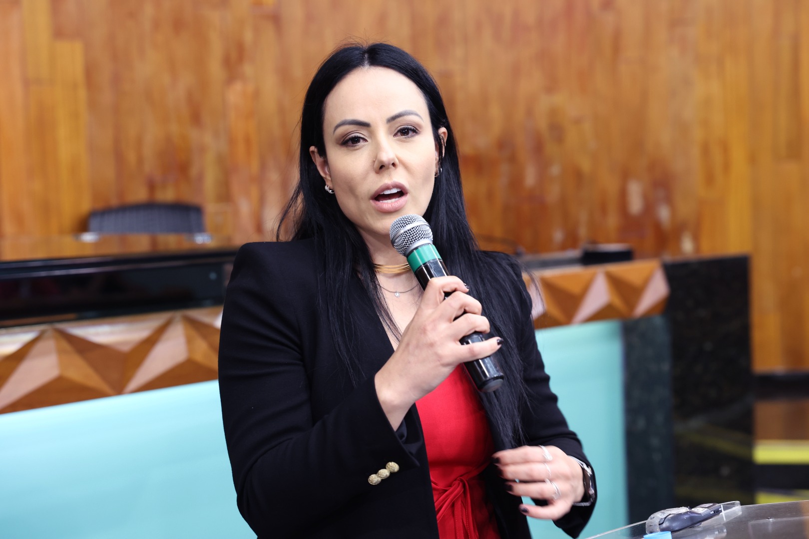 foto Aline Rezende 0012.JPG