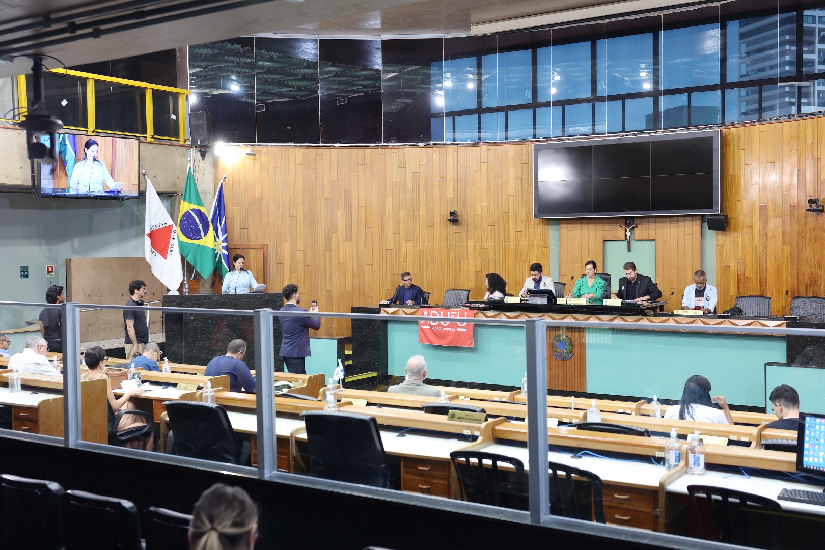 foto Aline Rezende 0013.JPG