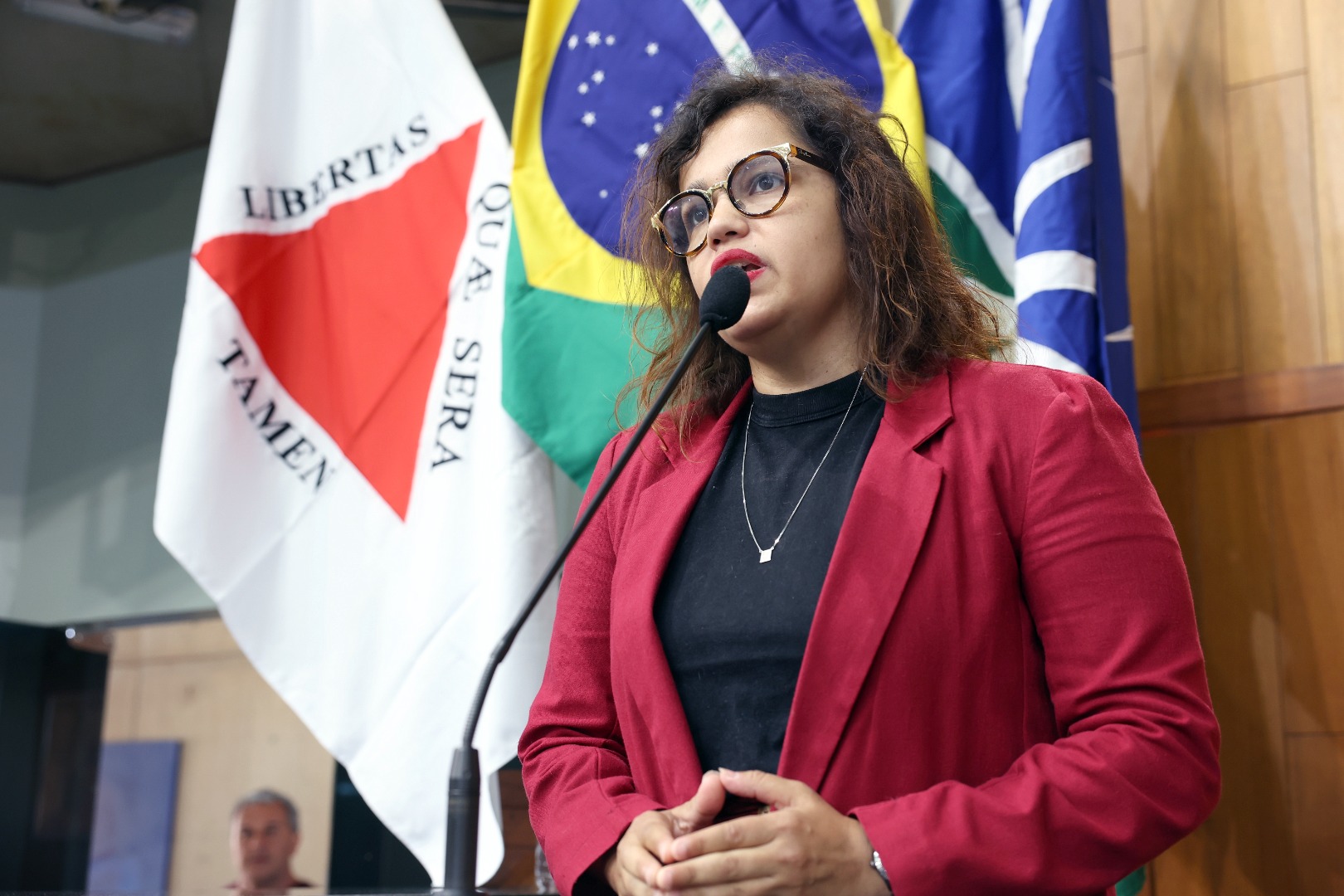 foto Aline Rezende 0070.JPG