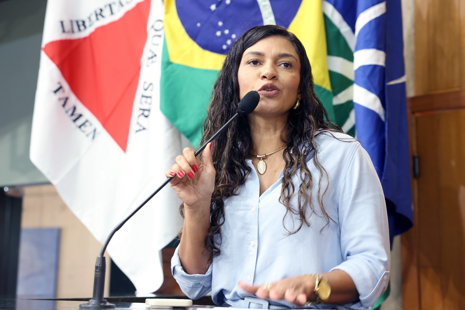 foto Aline Rezende 0022.JPG