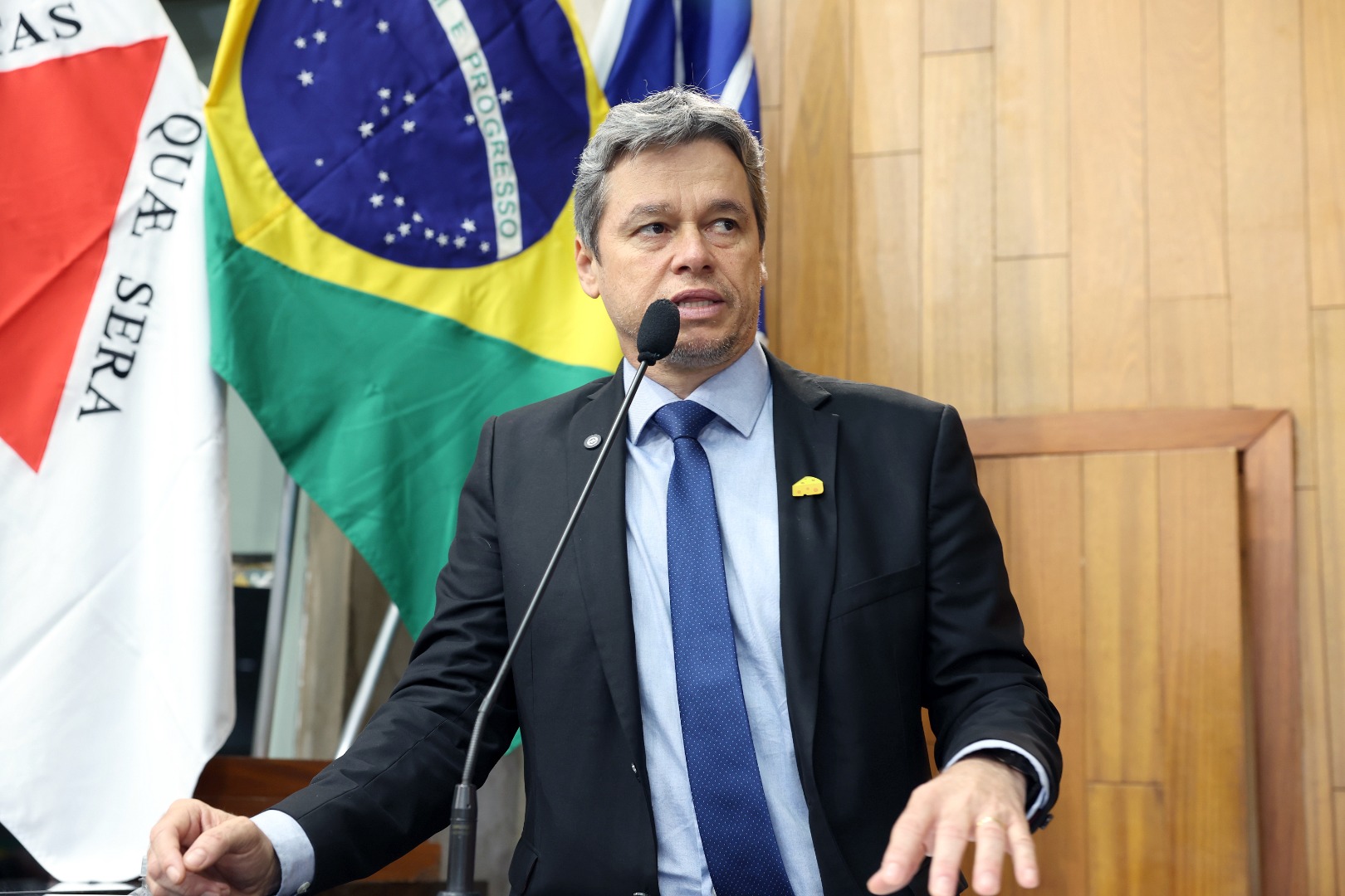 foto Aline Rezende 0016.JPG