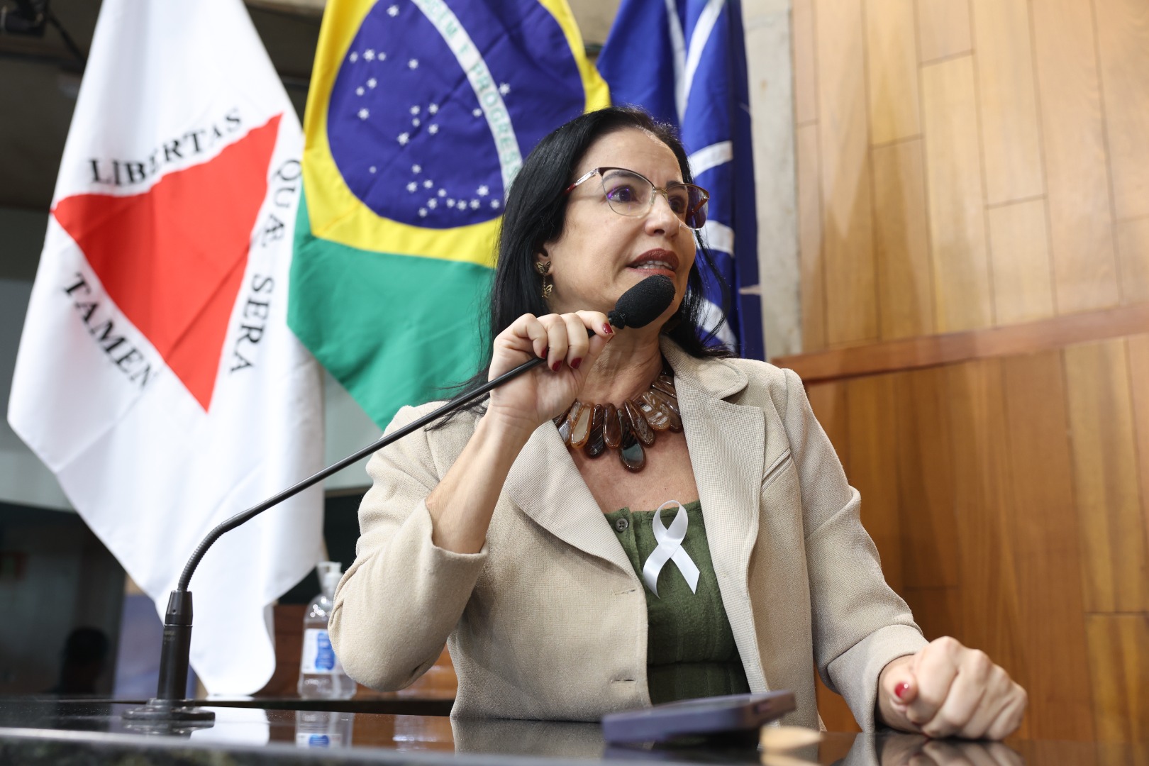 foto Aline Rezende 0009.JPG