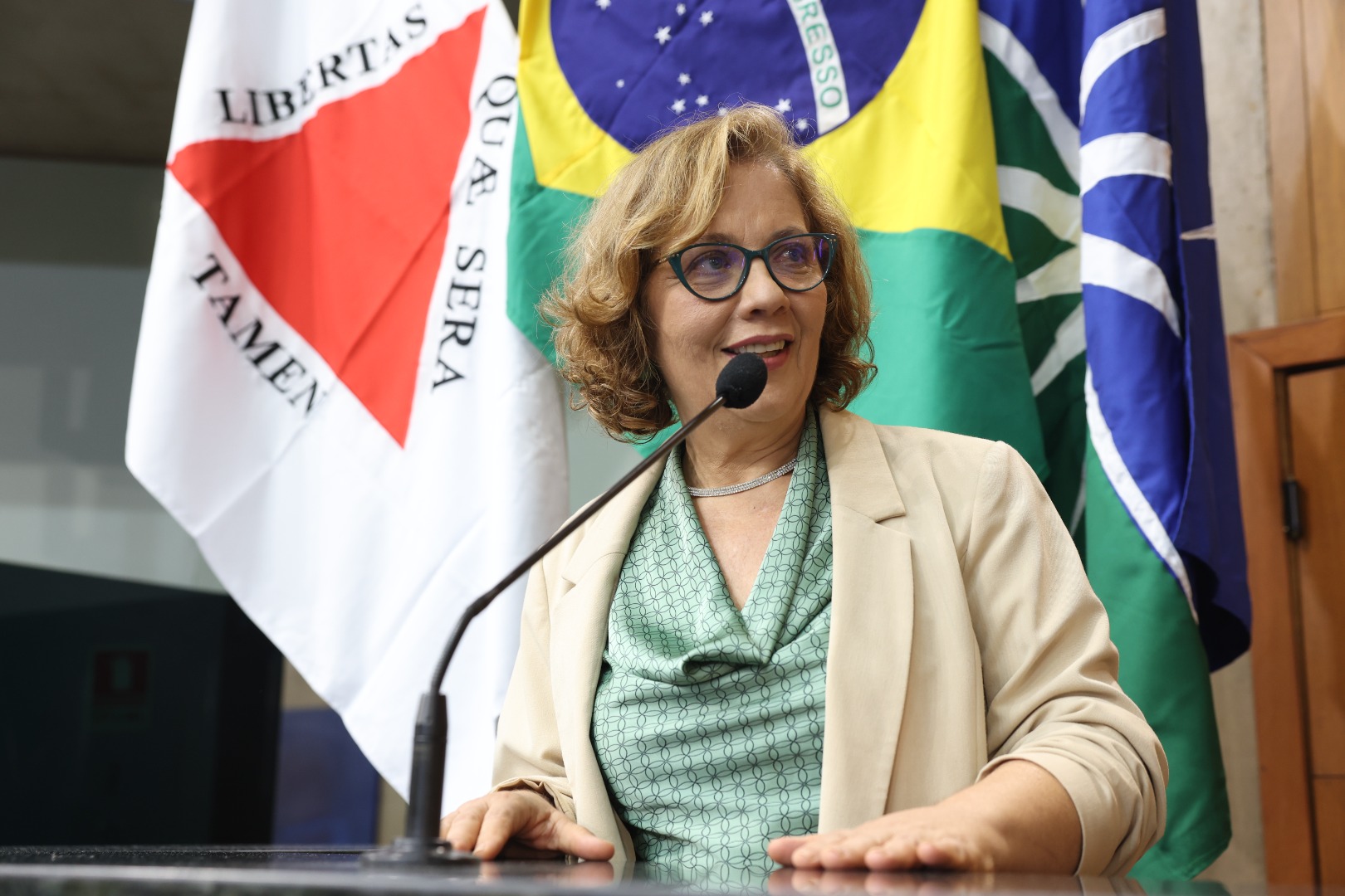 foto Aline Rezende 0020.JPG