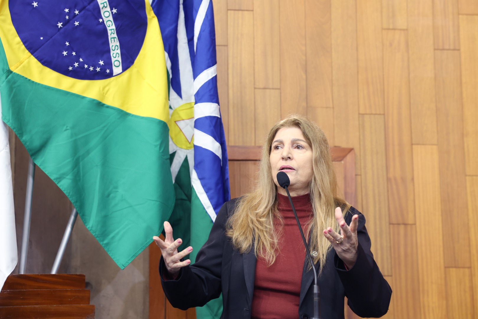 foto Aline Rezende 0059.JPG